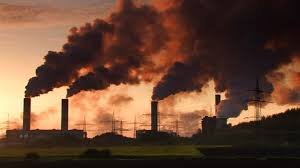 Environmental Defects